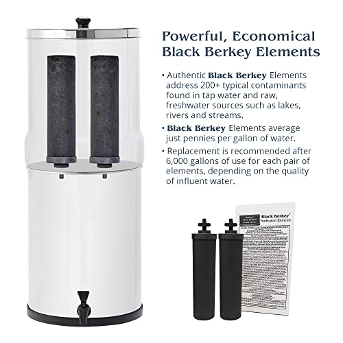 Authentic Black Berkey Elements BB9-2 and PF-2 Filters - Powerful